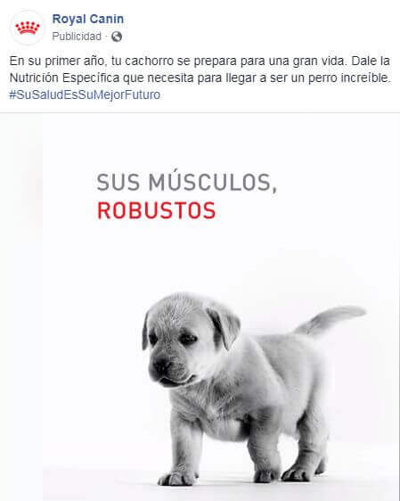 convierte más clientes en facebook con contenido sencillo cotenido sencillo genera mas conversiones en facebook